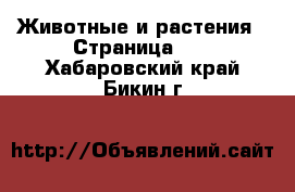  Животные и растения - Страница 11 . Хабаровский край,Бикин г.